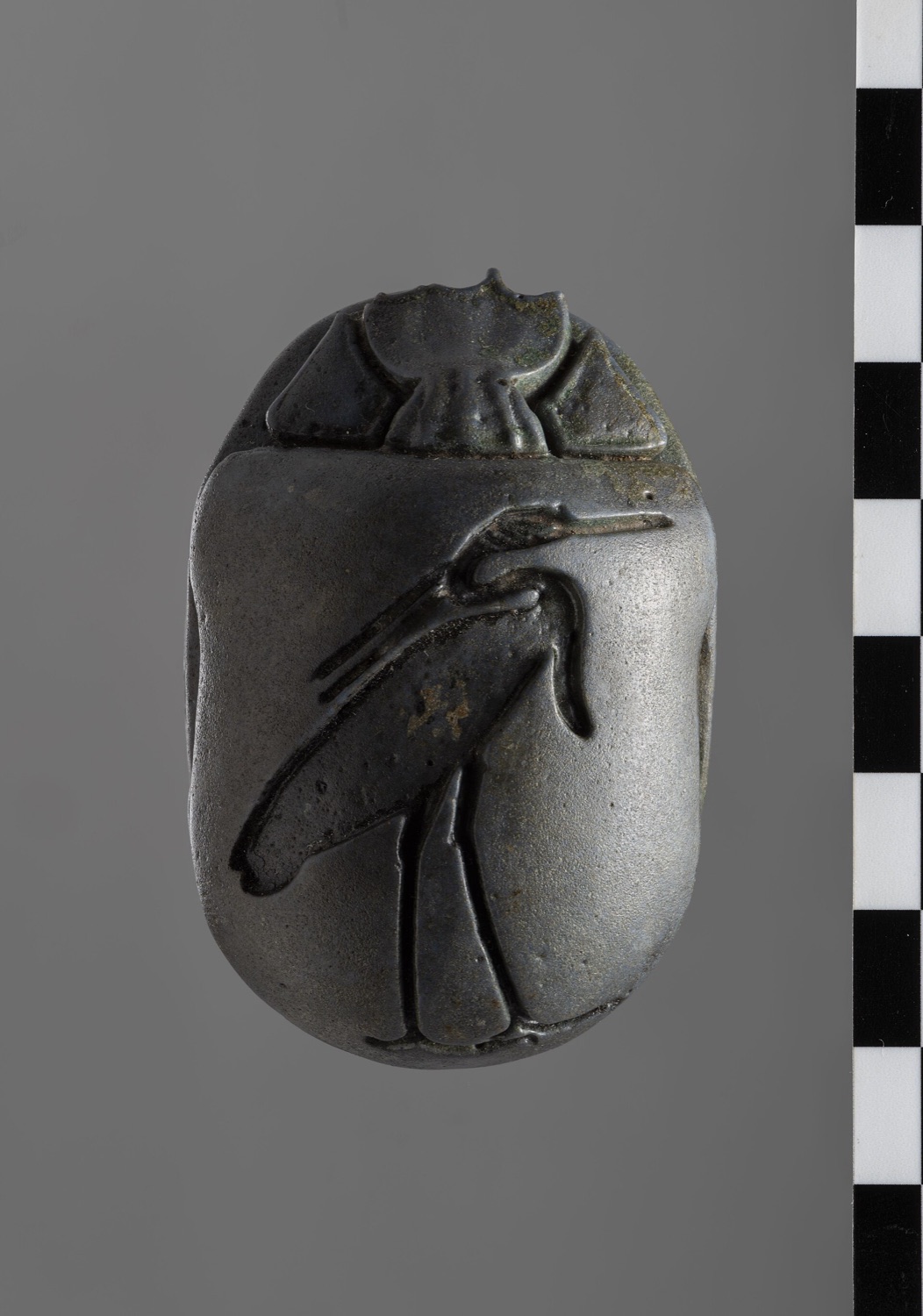 A heart scarab