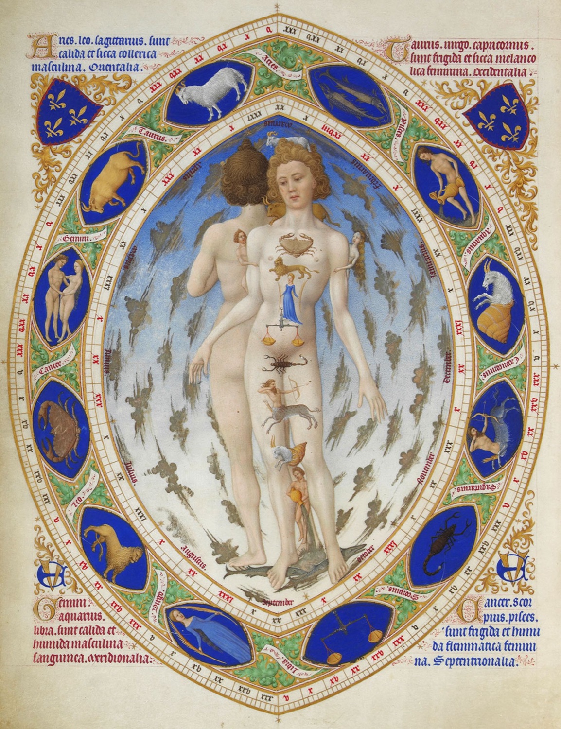 The zodiac man